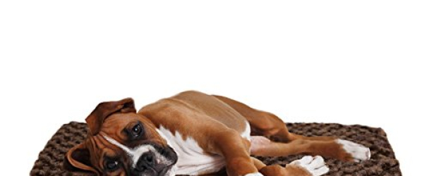 Furhaven Orthopedic Mattress Pet Bed, Large, Chocolate, for Dogs and Cats