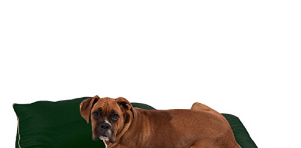 35×46 Green Super Value Pet Dog Bed By Majestic Pet Products Large
