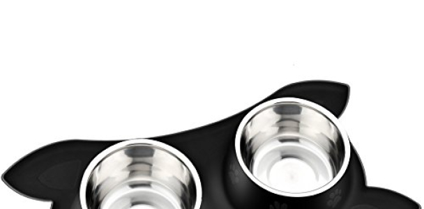 URPOWER Dog Bowl, Stainless Steel Pet Food and Water Bowls No Spill & Non-Skid BPA Free Silicone Mat Dog Food Bowl Dishwasher-Safe Pet Bowls 53 Oz Feeder Bowls for Dogs Cats and Pets