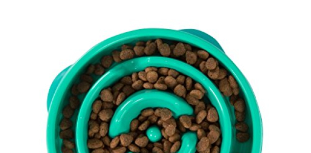 Slow Feeder Dog Bowl Fun Feeder Stop Bloat Bowl for Dogs by Outward Hound, Large, Teal