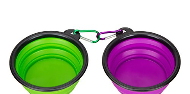 Collapsible Silicone Pet Bowl,set of 2, IDEGG, Food Grade Silicone BPA Free, Foldable Expandable Cup Dish for Pet Dog/Cat Food Water Feeding Portable Travel Bowl (Set of 2, Purple Green)
