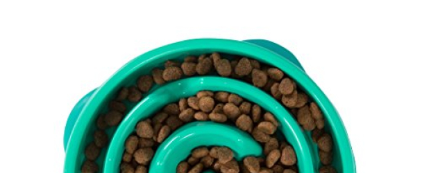 Slow Feeder Dog Bowl Fun Feeder Stop Bloat Bowl for Dogs by Outward Hound, Small, Teal