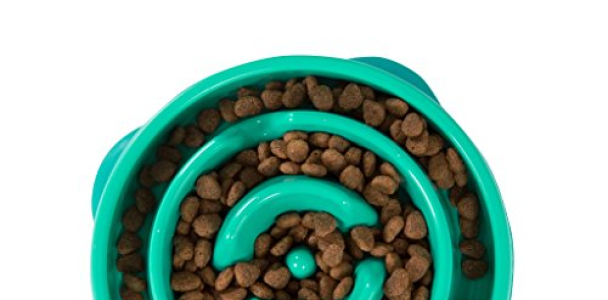 Slow Feeder Dog Bowl Fun Feeder Stop Bloat Bowl for Dogs by Outward Hound, Small, Teal