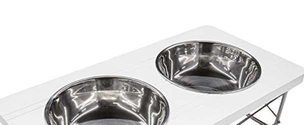 Easyology Stainless Steel Elevated Feeder Bowls for Cats and Small Dogs, White