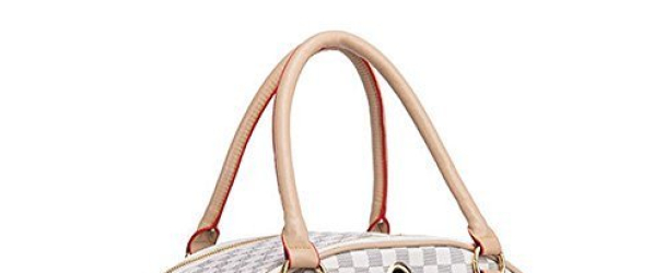 WOpet® Fashion Pet Dog Carrier PU Leather Dog Carriers Luxury Cat Travel Carrying Handbag for Outdoor Travel Walking Hiking