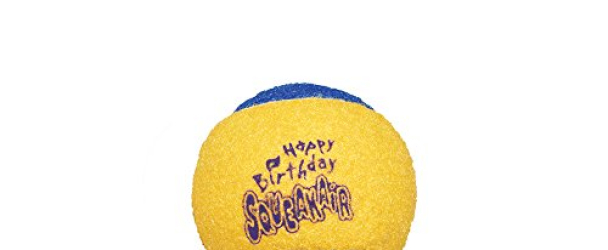 KONG Air Dog Squeakair Birthday Balls Dog Toy, Medium, Colors Vary (3 Balls)