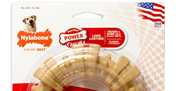 Nylabone DuraChew Ring Dog Toy