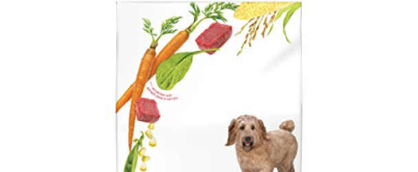 Purina Beneful Originals With Real Beef Dry Dog Food – 15.5 lb. Bag