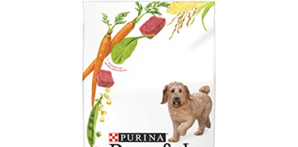 Purina Beneful Originals With Real Beef Dry Dog Food – 15.5 lb. Bag
