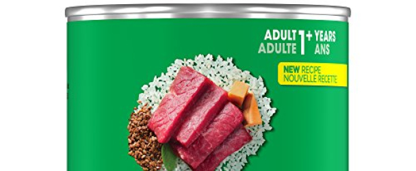 IAMS PROACTIVE HEALTH Adult With Beef and Rice Pate Wet Dog Food 13.0 Ounces (Pack of 12)