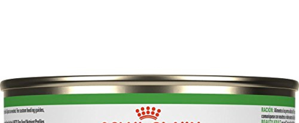 Royal Canin Adult Beauty Canned Dog Food, 5.8-Ounce Cans, Case of 24