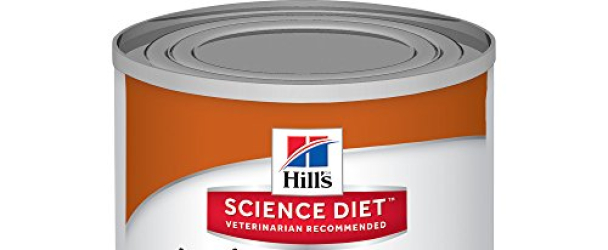 Hill’s Science Diet Adult 7  Turkey & Barley Entrée Canned Dog Food, 13 oz, 12-pack