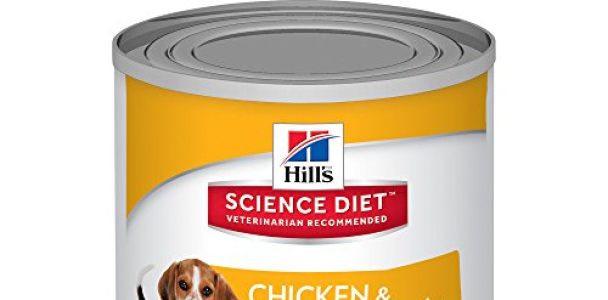 Hill’s Science Diet Puppy Chicken & Barley Entrée Canned Dog Food, 13 oz, 12-pack