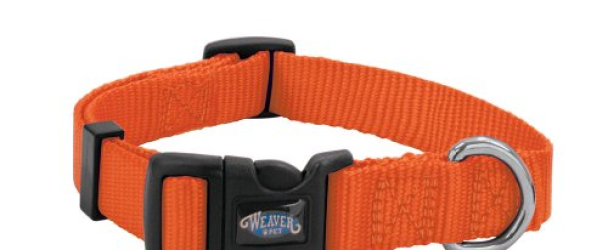 Weaver Leather Prism Snap-N-Go Collar, Small, Blaze Orange