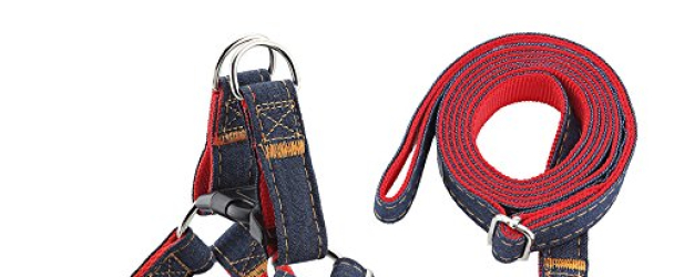 URPOWER Dog Leash Harness Adjustable & Durable Leash Set & Heavy Duty Denim Dog Leash Collar for Small, Medium and Large Dog, Perfect for Daily Training Walking Running (L(17″-27.5″ Chest Girth))
