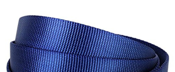 Blueberry Pet 12 Colors Durable Classic Dog Leash 5 ft x 5/8″, Royal Blue, Small, Basic Nylon Leashes for Dogs