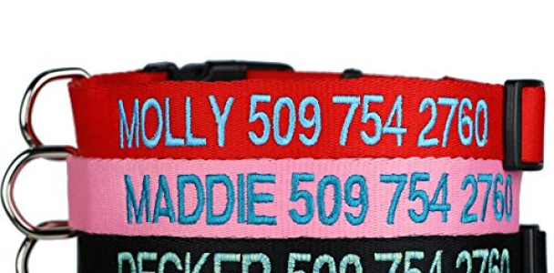 Personalized Dog Collar, Custom Collars Embroidered w/ Pet Name & Phone Number – Blue, Black, Pink, Red & Orange Collars for Boy & Girl Dogs; 4 Adjustable Sizes: XSmall, Small, Medium, & Large