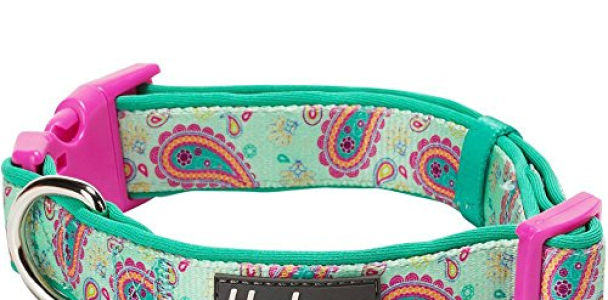 Blueberry Pet 7 Colors Soft & Comfy Paisley Flower Print Neoprene Padded Dog Collar, Emerald Green, Medium, Neck 14.5″-20″, Adjustable Collars for Dogs