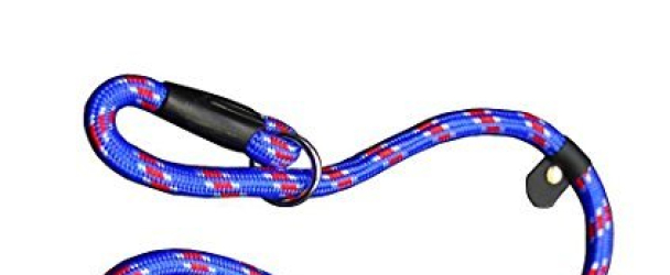 Coolrunner Pet Dog Whisperer Cesar Slip Training Leash Lead Collar (Blue)