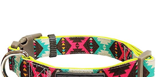 Blueberry Pet 5 Colors Soft & Comfy Vintage Tribal Pattern Padded Dog Collar, Extravagant Green, Medium, Neck 14.5″-20″, Adjustable Collars for Dogs