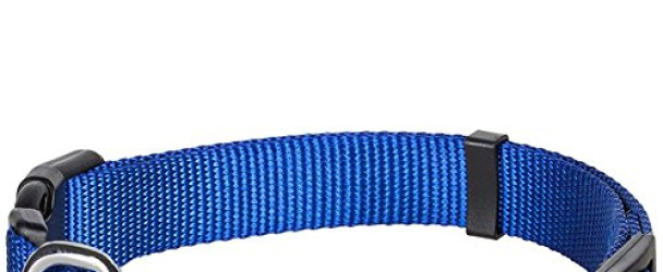 Blueberry Pet 12 Colors Classic Dog Collar, Royal Blue, Small, Neck 12″-16″, Nylon Collars for Dogs