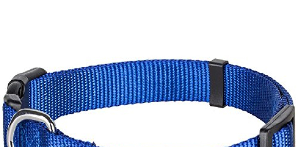 Blueberry Pet 12 Colors Classic Dog Collar, Royal Blue, Small, Neck 12″-16″, Nylon Collars for Dogs