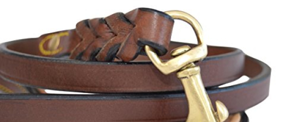 Soft Touch Collars Leather Braided Dog Leash, Brown 4ft