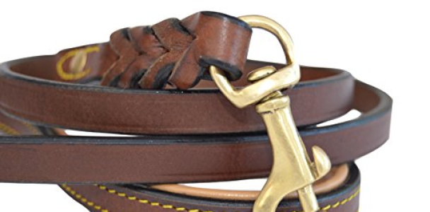 Soft Touch Collars Leather Braided Dog Leash, Brown 4ft