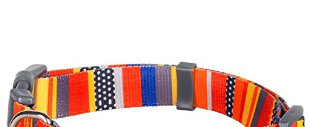 Blueberry Pet Nautical Flags Inspired Designer Basic Dog Collar, Neck 14.5″-20″, Medium, Collars for Dogs
