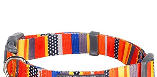 Blueberry Pet Nautical Flags Inspired Designer Basic Dog Collar, Neck 14.5″-20″, Medium, Collars for Dogs