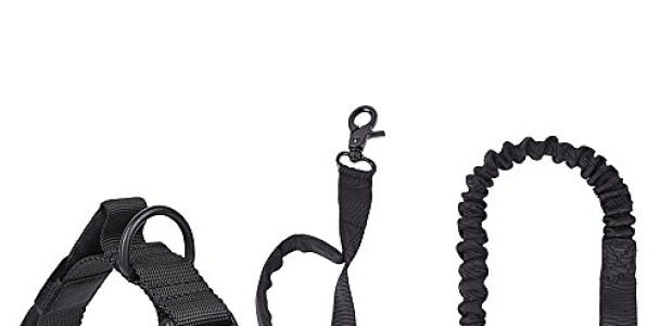 Nasus Tactical Dog Collar and Leash Set, Adjustable Military Training Nylon Collar and Heavy Duty Bungee Lead with Soft Cover Control Handles, Quick Release Buckle for Dogs Playing and Woodland Walks