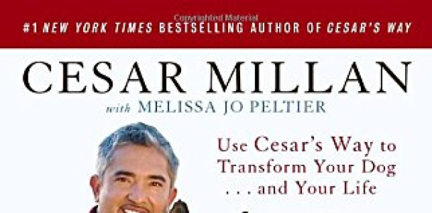 Be the Pack Leader: Use Cesar’s Way to Transform Your Dog . . . and Your Life