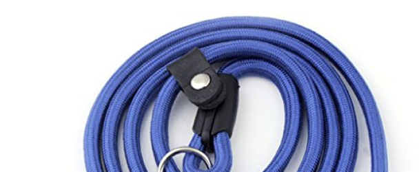 Mangostle Durable Pet Dog Nylon Adjustable Loop Training Leash Slip Lead Traction Rope Leashes Collar Small and Medium Dogs Leash 1.38m