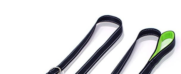 Heavy Duty Dog Leash – 2 Handles by Paw Lifestyles – Padded Traffic Handle For Extra Control, 7ft Long – Perfect For Medium to Large Dogs