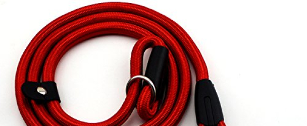 Nylon Rope Dog Whisperer Cesar Millan Style Slip Training Leash Lead and Collar (Red)