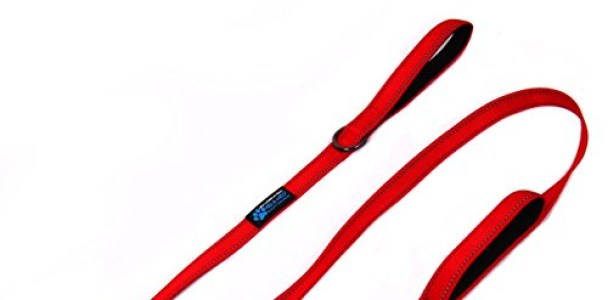 Max and Neo™ Double Handle Traffic Dog Leash Reflective – We Donate a Leash to a Dog Rescue for Every Leash Sold (RED)
