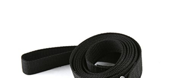 Strong Durable Nylon Dog Training Leash, 6 Feet Long, 1 Inch Wide, for small and medium dog (Black)