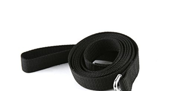Strong Durable Nylon Dog Training Leash, 6 Feet Long, 1 Inch Wide, for small and medium dog (Black)