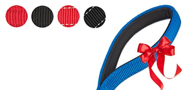 PetsLovers 2-Layer Dog Leash – Extra Durable Webbing, Padded Handle – 6 Feet Long, 1 Inch Wide