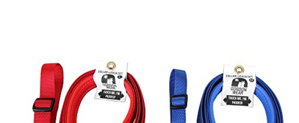 Dog Leash with Padded Handle – Sturdy, Safe, and Extra Comfortable – comes with free matching collar 6_feet