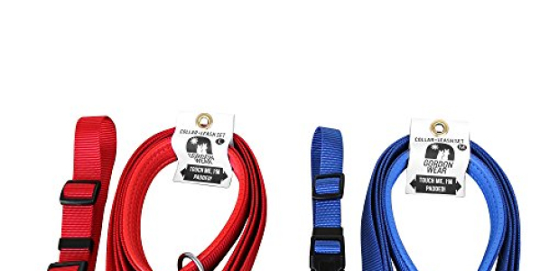 Dog Leash with Padded Handle – Sturdy, Safe, and Extra Comfortable – comes with free matching collar 6_feet