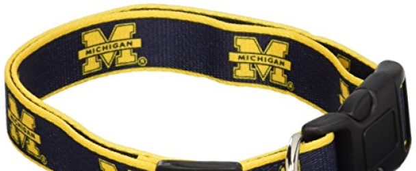 NCAA Michigan Wolverines Dog Collar, Medium/Large  – New Design