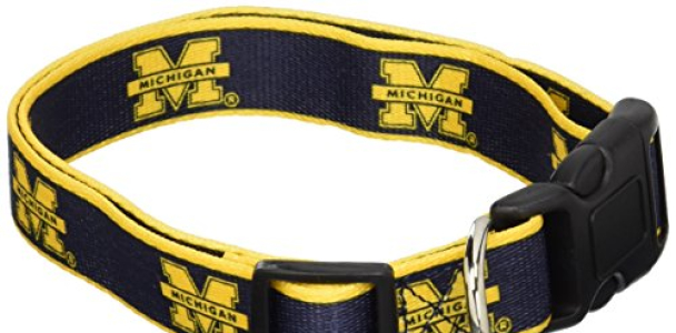 NCAA Michigan Wolverines Dog Collar, Medium/Large  – New Design