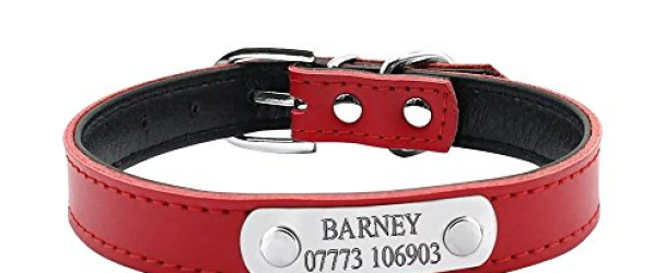 Didog Soft Leather Padded Custom Dog Collar and Leash Set with Personalized Engraved Nameplate,Fit Small Medium Dogs,Red,M Size