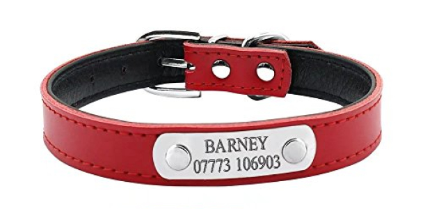 Didog Soft Leather Padded Custom Dog Collar and Leash Set with Personalized Engraved Nameplate,Fit Small Medium Dogs,Red,M Size