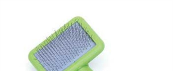 Li’l Pals Slicker Purple and Green Brush for Dogs, Extra Small