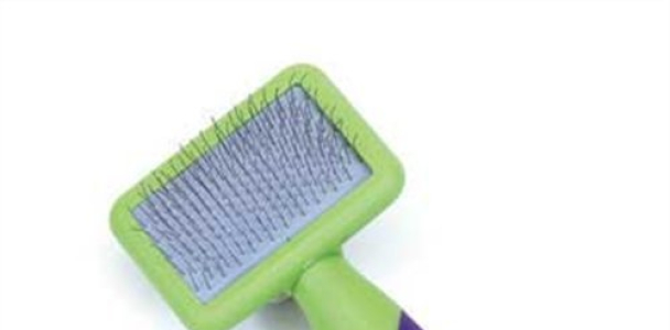 Li’l Pals Slicker Purple and Green Brush for Dogs, Extra Small