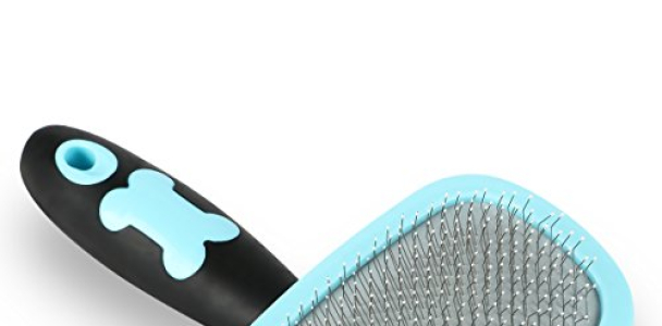 Glendan Dog Brush & Cat Brush-professional Pet Grooming Self Cleaning Slicker Brush for Dogs and Cats (Blue)