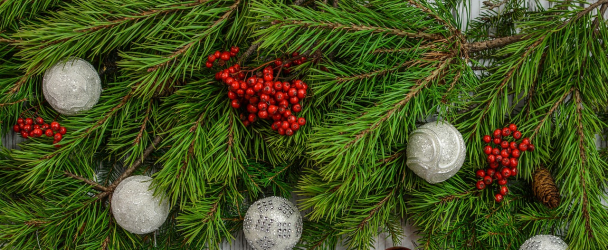 How to Teach Your Dog to Stay Away from Christmas Decorations