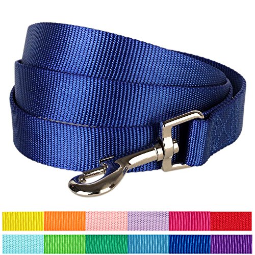 Blueberry Pet 12 Colors Durable Classic Dog Leash 5 ft x 5/8